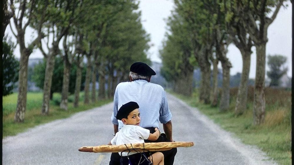 Provence 1955