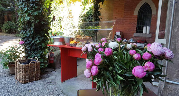 Zu Art Foto Dei Fiori
