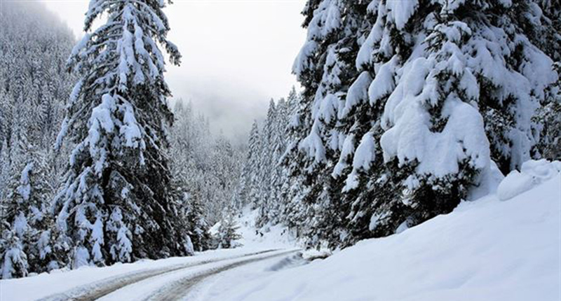 Neve in Montagna