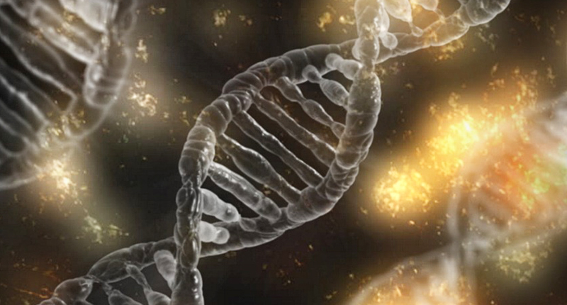 DNA al microscopio