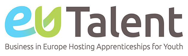 EU Talent Logo