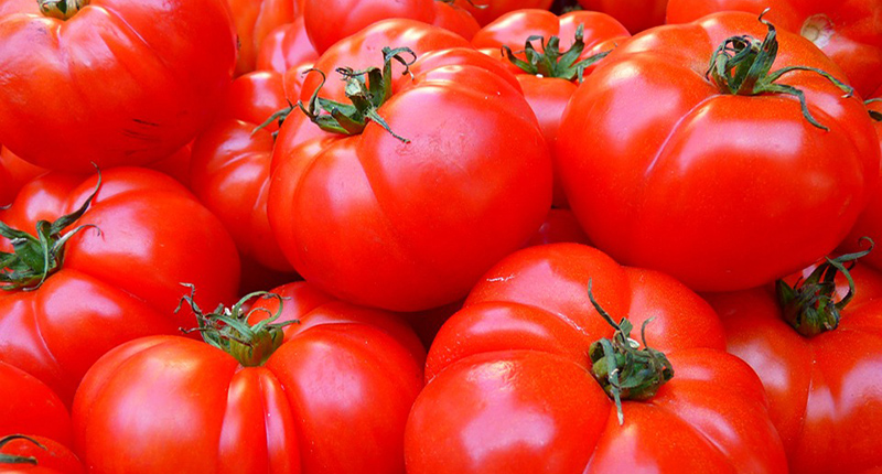 Pomodori