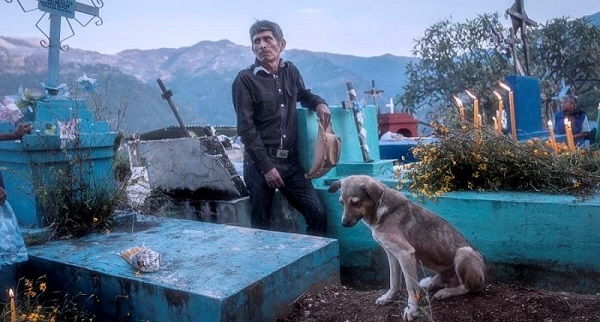 Uomo Con Cane