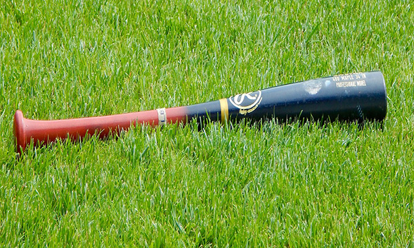 Mazza Da Baseball