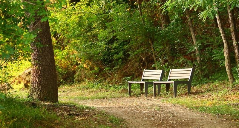 Banchine nel parco